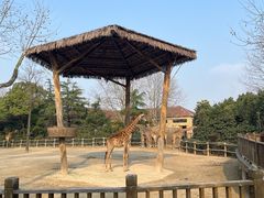 -上海野生动物园