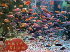 -正佳极地海洋世界