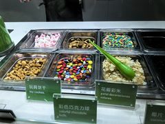-Salud撒露欧洲冻酸奶(北苑上品店)