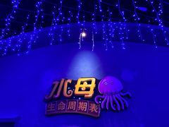 -皇家海洋乐园