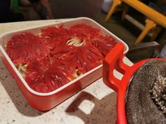 -钢管厂五区小郡肝火锅串串香(总店)