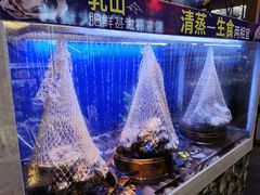 -船梆煮•蒸汽海鲜·炉火烤肉(五四广场店)