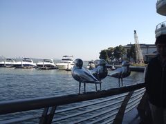iphone_upload_pic-苏州金鸡湖中茵皇冠假日酒店