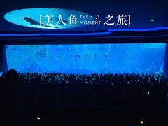 -上海海昌海洋公园-停车场