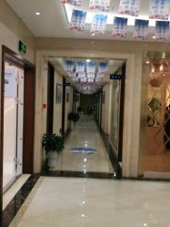 -碧莲盛·不剃发植发