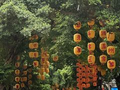 -明姨仔潮汕美食·碳炉猪脚·汕尾牛腩饭·起片鸡煲(起义路店)