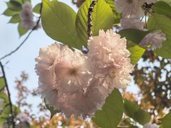 -苏州河梦清园环保主题公园