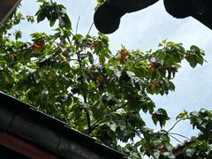-吃货私房菜(丽江束河古镇店)