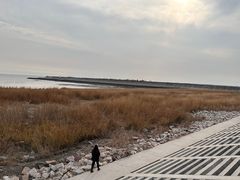 -奉贤海滩