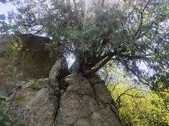 -香山公园-东宫门售票处