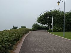 -深圳湾公园(南山区)