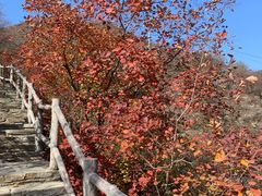 -周口店坡峰岭风景区