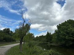 -梁鸿国家湿地公园