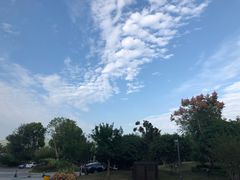 -上海东方佘山翰悦阁酒店·Vie全日制餐厅