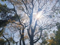 -银瓶山森林公园(谢岗镇)