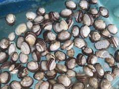 -沿海渔家院海鲜烧烤·东北菜(东戴河店)