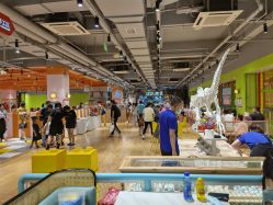 -宝燕乐园(闵行旗舰店)