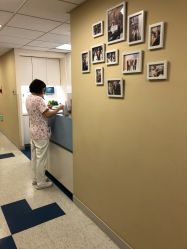 点击看大图 -杭州贝瑞斯美华妇儿医院·早孕·产检·儿科