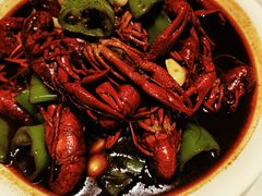 -杨氏青龙虾·羊蝎子(托乐嘉店)
