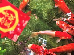 -惠食佳(滨江大公馆店)