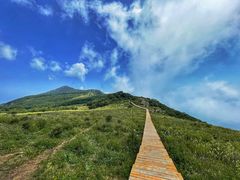 -白草畔自然风景区