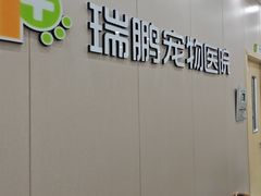 -瑞鹏宠物医院·骨外科·心肾科·肿瘤科(九亭店)