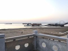 -湖南东洞庭湖国家级自然保护区