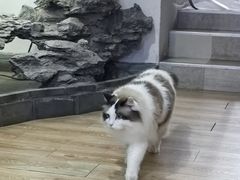 -白兔子密室(长寿路店)