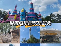 -南京银杏湖乐园