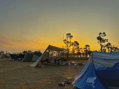 -春花秋色城市公园