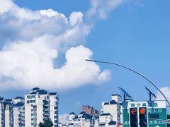-上海吴淞炮台湾国家湿地公园