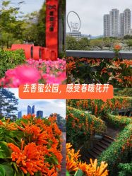 -深圳市儿童乐园