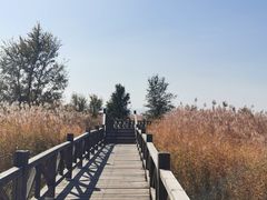 -野鸭湖国家湿地公园