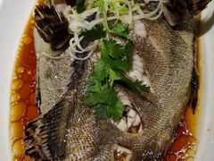 清蒸石斑鱼-双井轩(双井店)