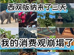 -野象谷景区