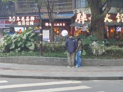 -泡桐树街