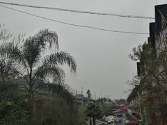 -美心红酒小镇游乐园