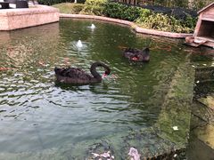 -南京圣和府邸豪华精选酒店