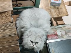 -小时光咖啡馆(北锣鼓巷店)