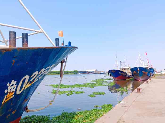 洋口镇渔港六号码头-"朋友吵着要来 虽然网上信息有限 但是在抵.