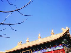 -西安市广仁寺