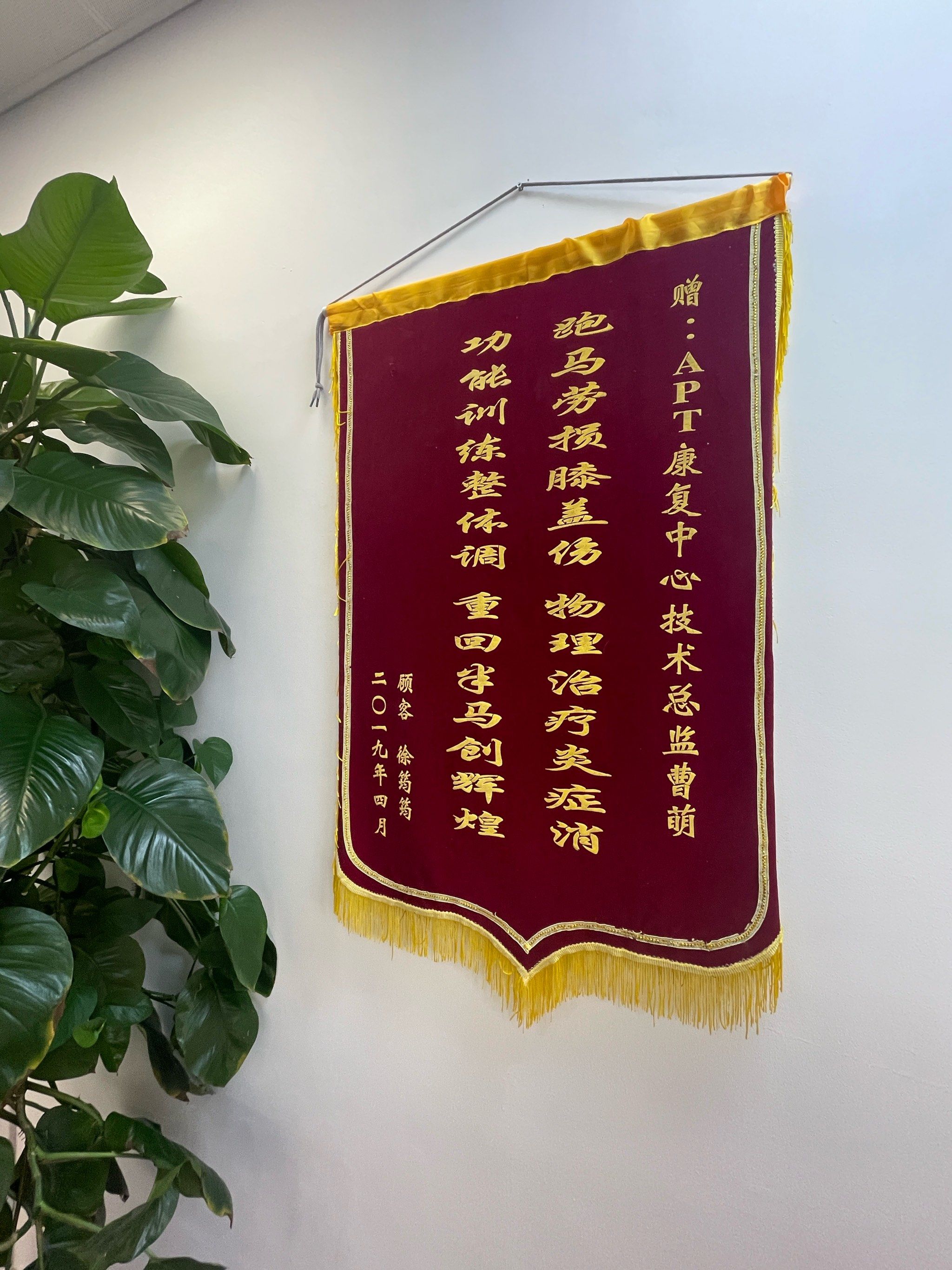 包含北京中医药大学附属护国寺中医医院代挂号跑腿服务，便捷，值得信赖的词条