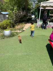 -萌宠亲子动物乐园(槐房万达店)