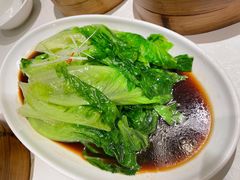 白灼生菜-泮金大塘(北二七路店)