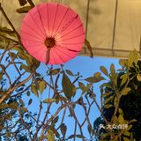氛围感满满的Bistro