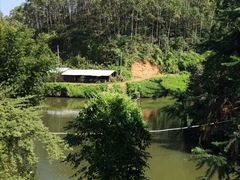 -象头山国家级自然保护区