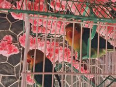 -蓝鲸湾汤泉(包河店)