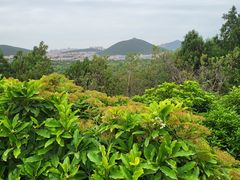 -云龙山