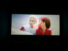 -奥斯卡升龙国际影城(RealD Cinema)