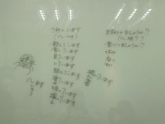 -樱花国际日语(人广中心)